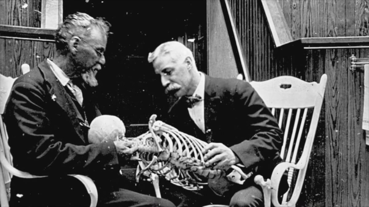 Andrew taylors still à l'origine de l'ostéopathie